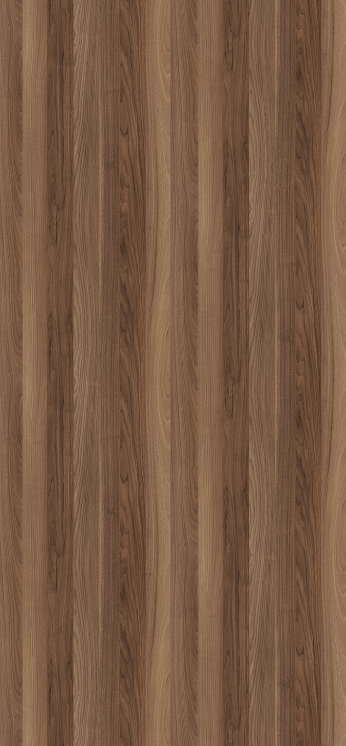 Cello Ganzplattenbild