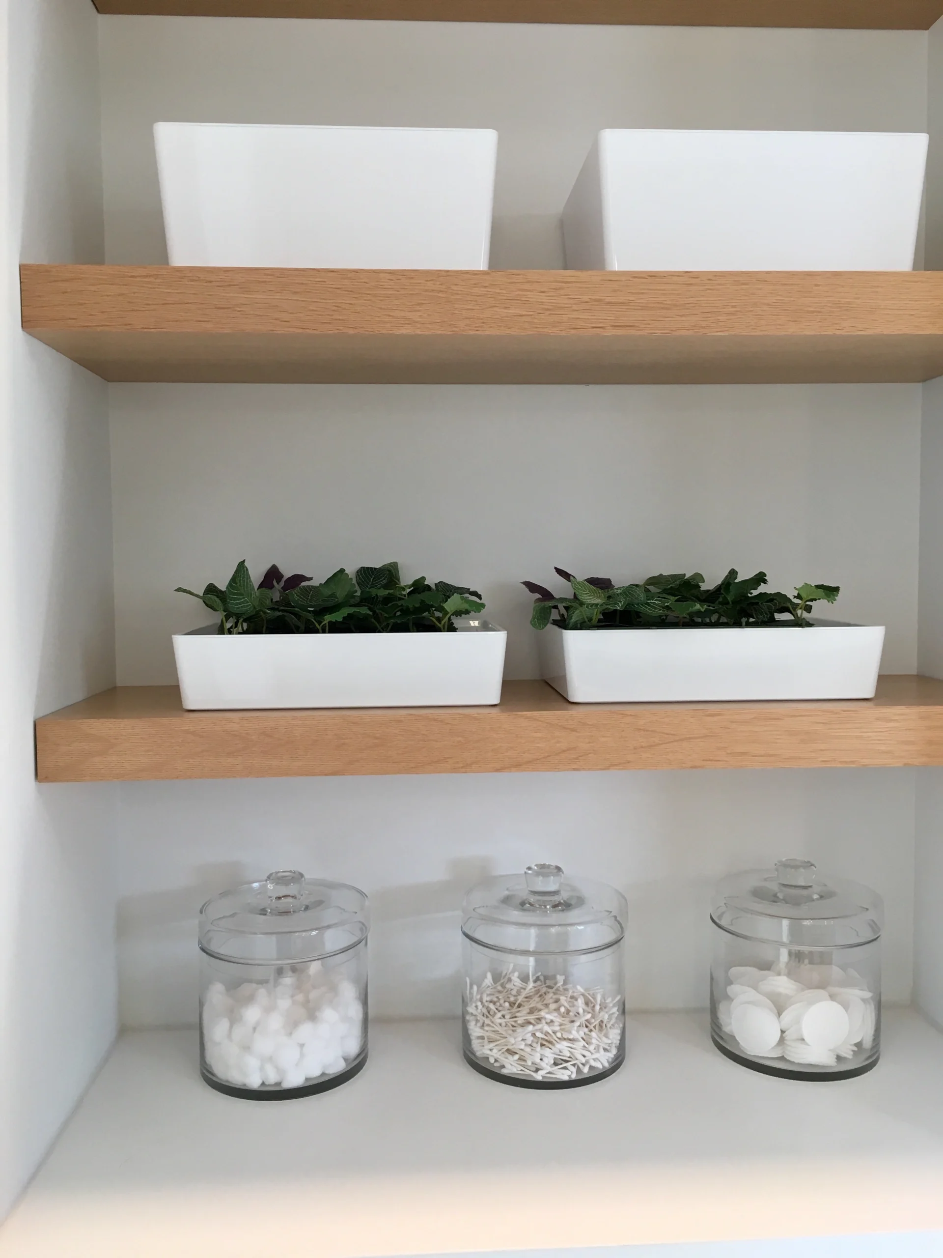 BUfu103L_Buche gedämpft, furniert_Wandboard