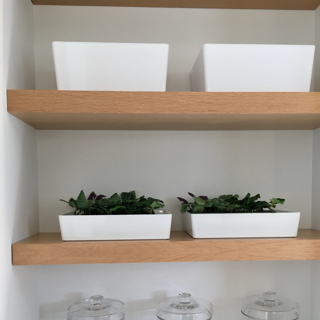 BUfu103L_Buche gedämpft, furniert_Wandboard