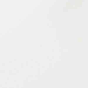 Fenix0757_Bianco Dover Fenix Bianco Dover Dekorbild