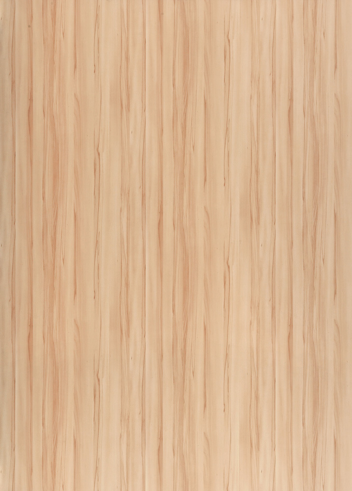 Kernbuche Ganzplattenbild