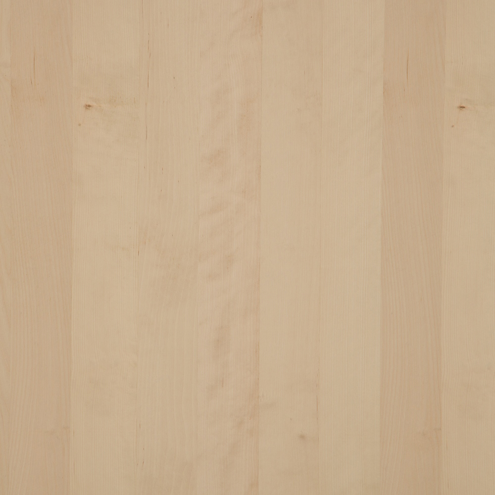 Ahorn Europ furniert Dekor