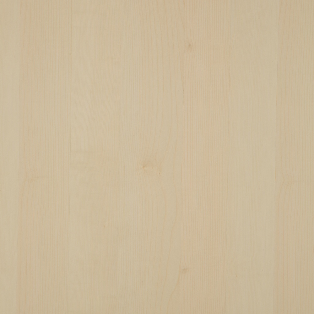 Birke furniert Dekor