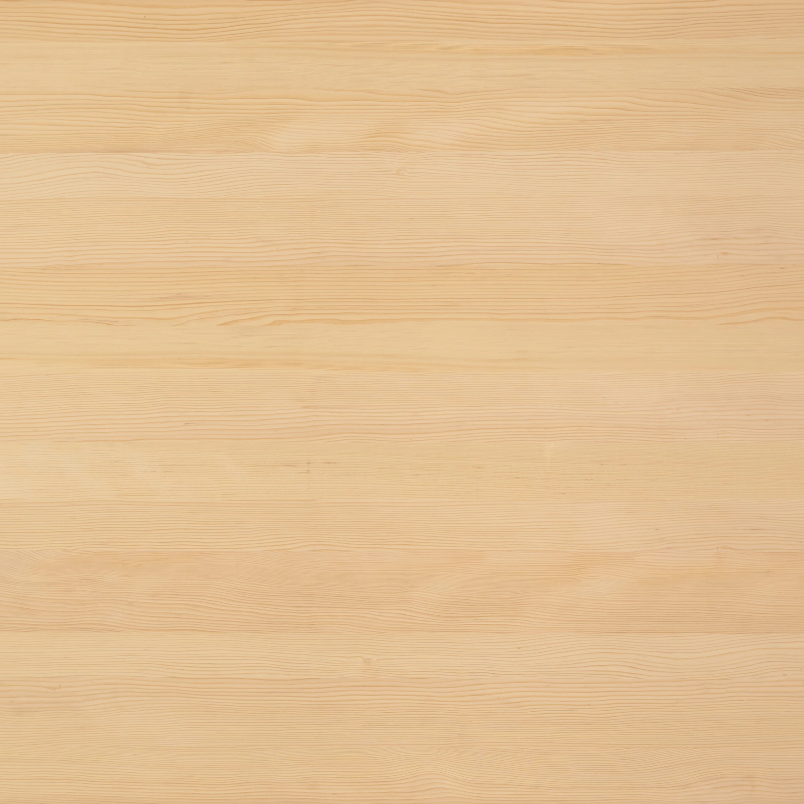 Tanne furniert Dekor