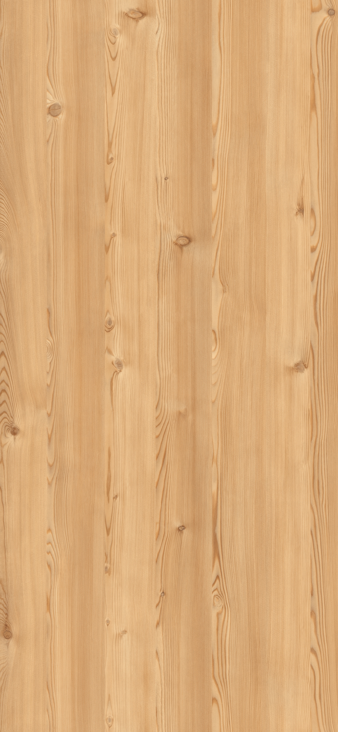 Lakeside Lärche Natur Ganzplattenbild