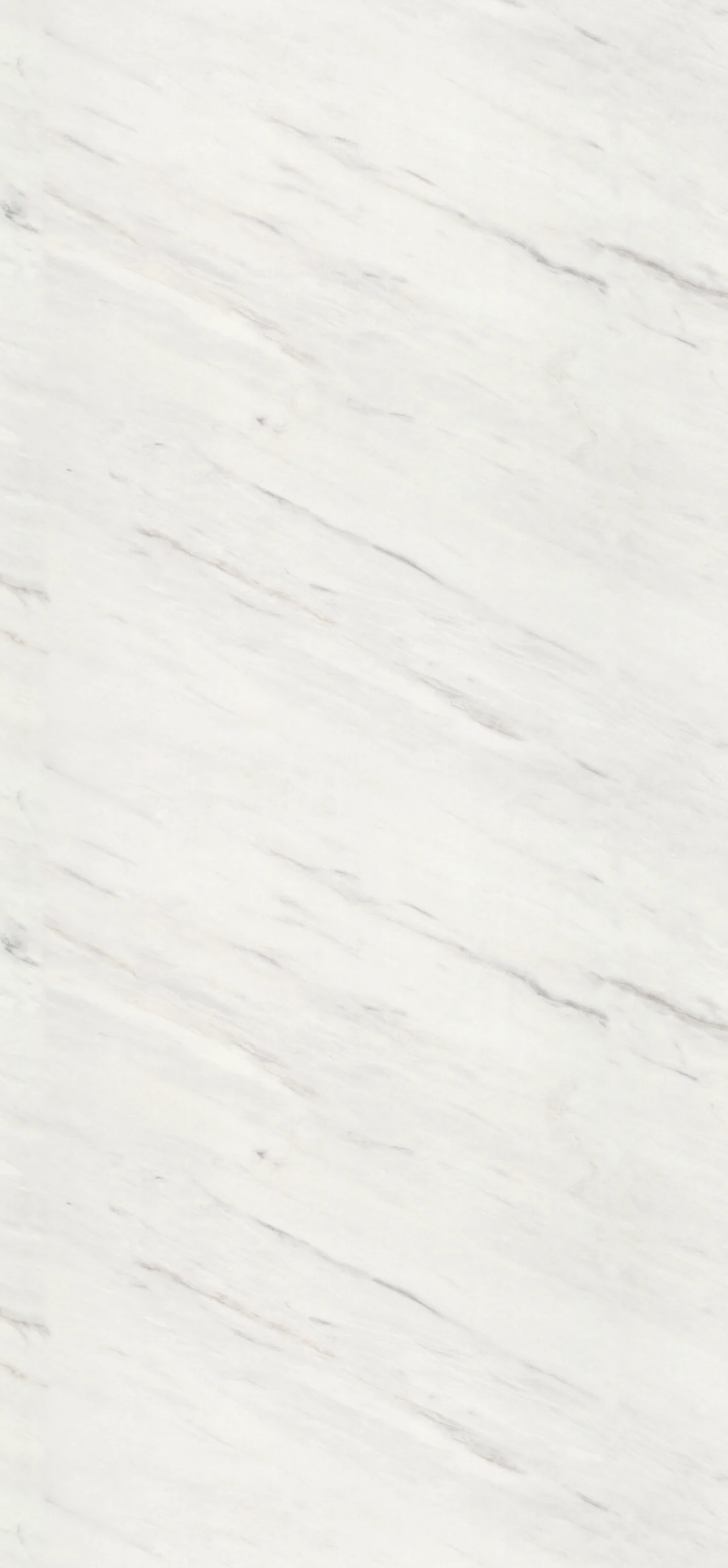 Levanto Marmor weiss Ganzplattenbild