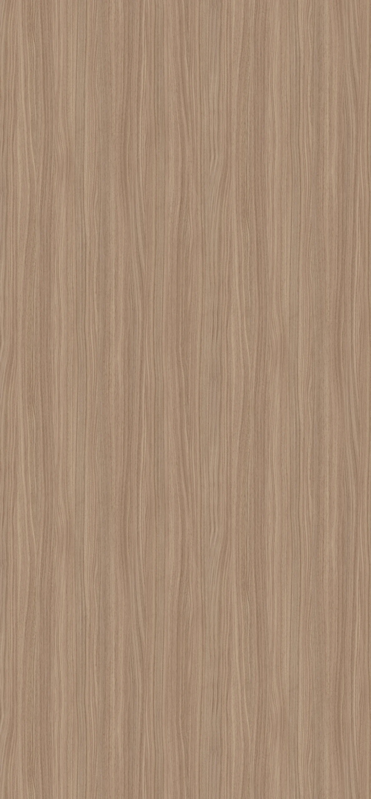 Noce Dimaro Natur Ganzplattenbild